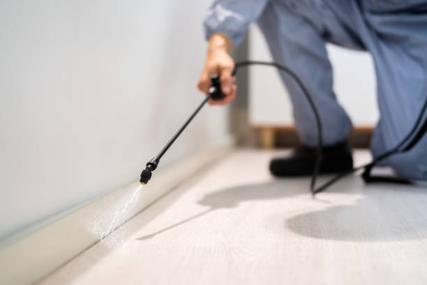 Licensed Rodent Control service in Fleming County County, KY - Nex Pest Control